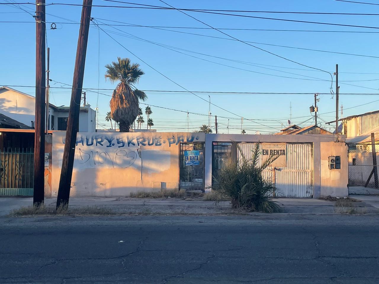 WhatsApp Image 2024-01-11 at 4-39-50 PM.jpeg